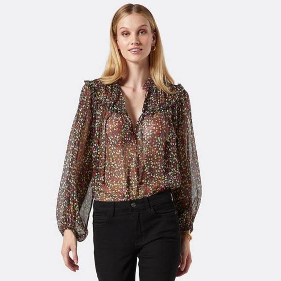 5. NWT JOIE EPWORTH LONG SLEEVE SILK TOP SIZE XXS - Picture 1 of 8